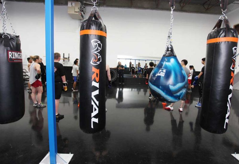 Adult Boxing Calgary Boxing Gyms Calgary Boxing Training